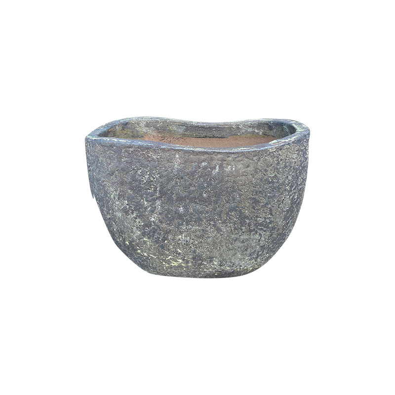 Wax Xanh Rêu